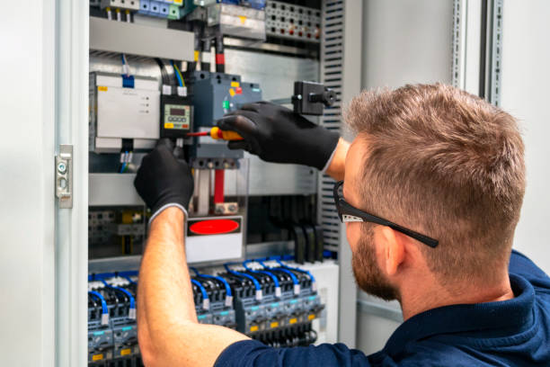 Best Electric Panel Repair  in Randolph, WI