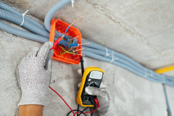 Best Licensed Electrician  in Randolph, WI